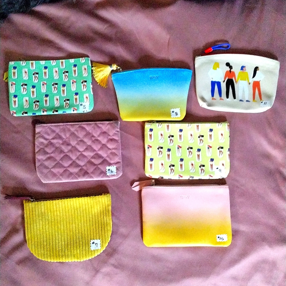 Make-up Bags from Ipsy  5 thru 11